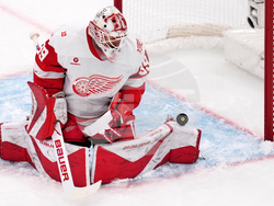 Red Wings Bruins Hockey