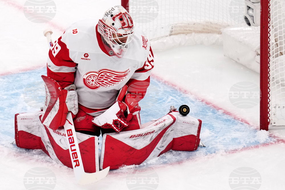 Red Wings Bruins Hockey