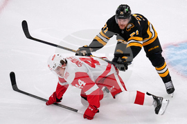 Red Wings Bruins Hockey