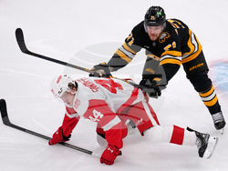 Red Wings Bruins Hockey