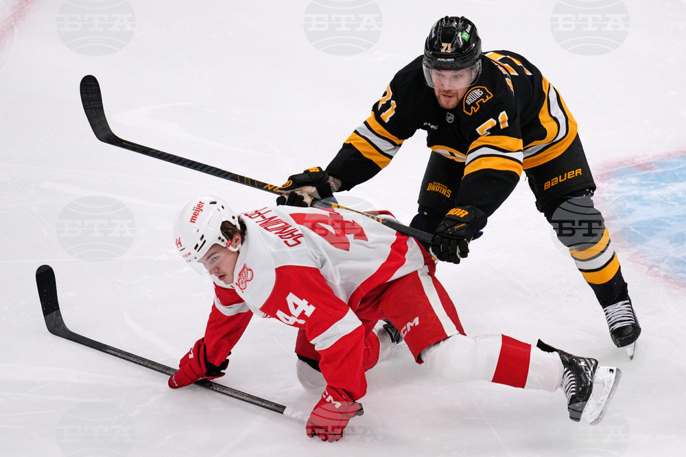 Red Wings Bruins Hockey