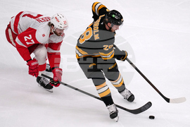 Red Wings Bruins Hockey