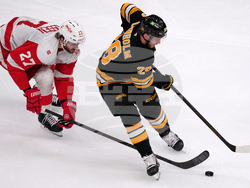 Red Wings Bruins Hockey