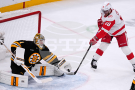 Red Wings Bruins Hockey