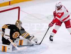 Red Wings Bruins Hockey