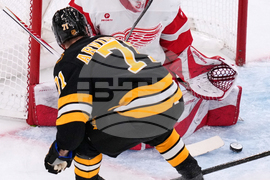 Red Wings Bruins Hockey