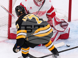 Red Wings Bruins Hockey