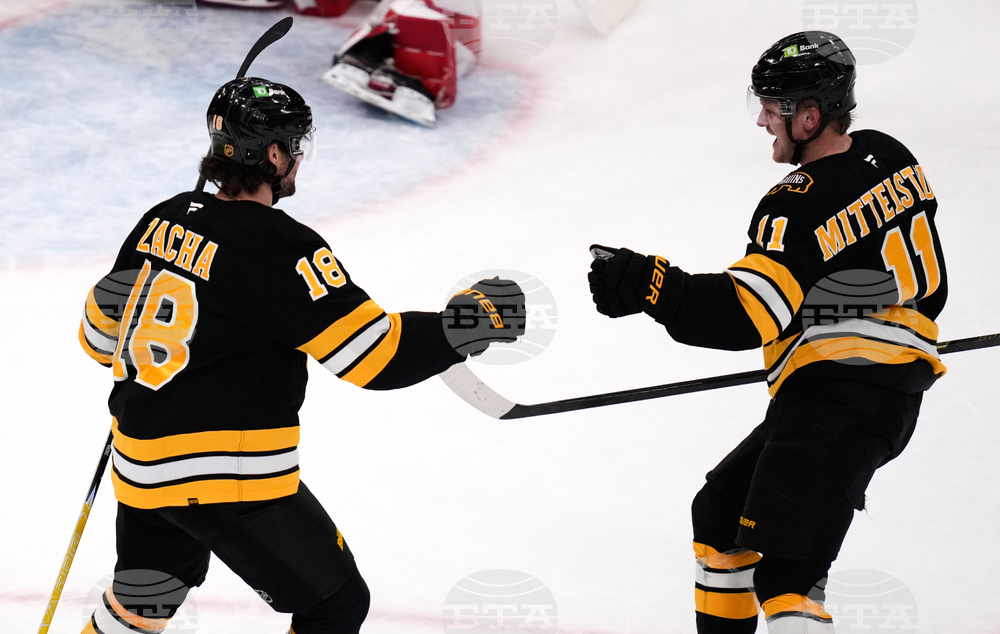 Red Wings Bruins Hockey