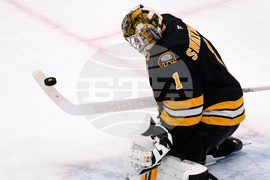 Red Wings Bruins Hockey