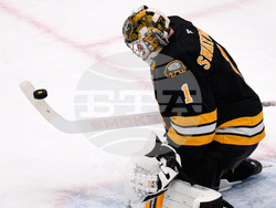 Red Wings Bruins Hockey