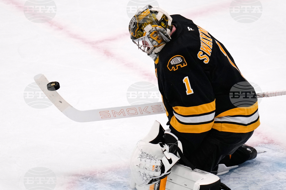 Red Wings Bruins Hockey