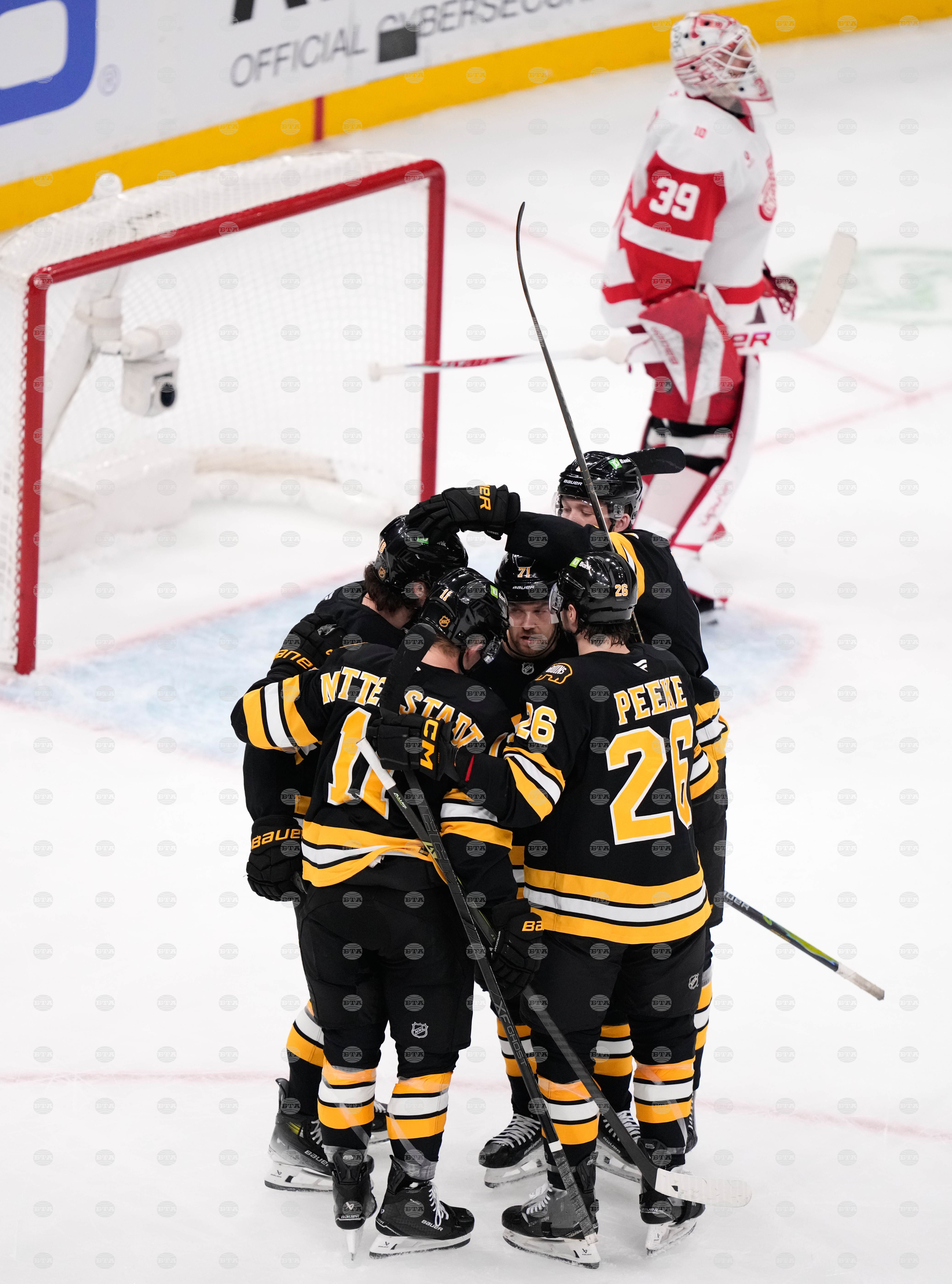 Red Wings Bruins Hockey