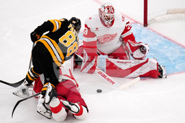 Red Wings Bruins Hockey