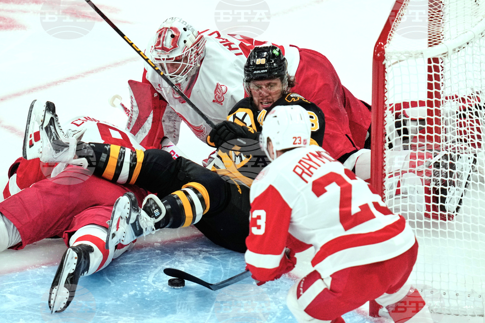 Red Wings Bruins Hockey
