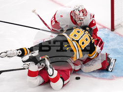 Red Wings Bruins Hockey