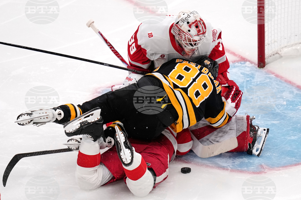 Red Wings Bruins Hockey