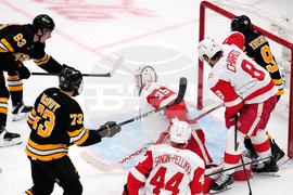 Red Wings Bruins Hockey