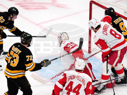 Red Wings Bruins Hockey