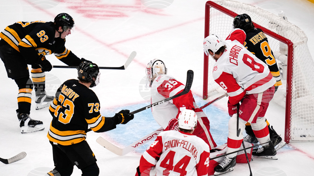 Red Wings Bruins Hockey