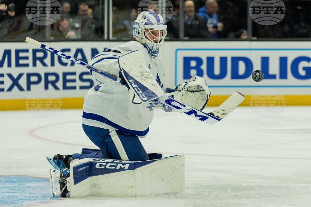 Maple Leaf Mammoth Hockey