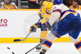 Oilers Predators Hockey