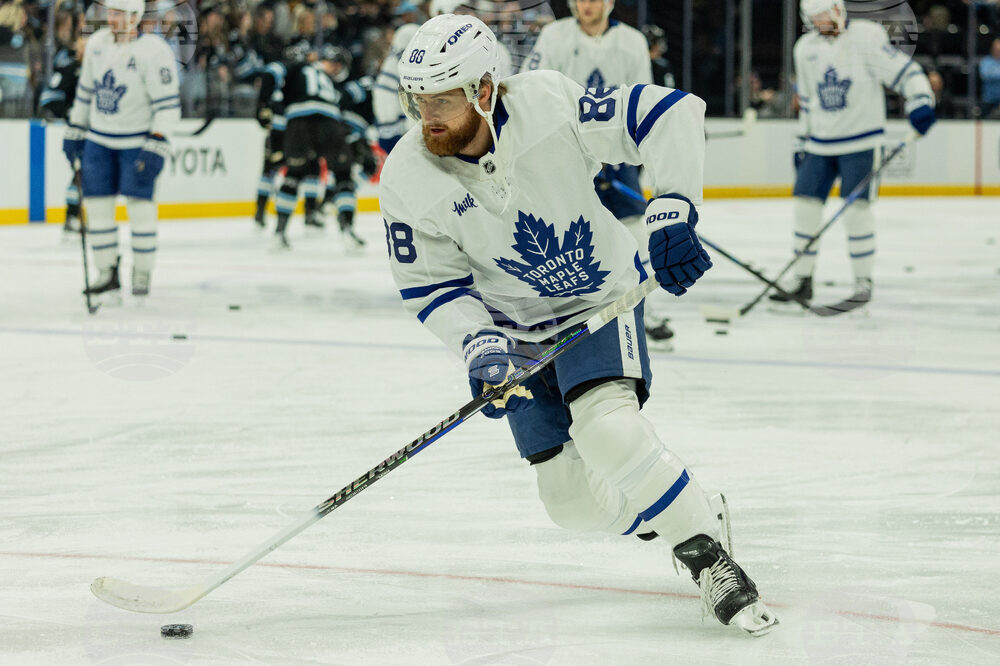 Maple Leaf Mammoth Hockey