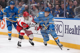Hurricanes Blues Hockey