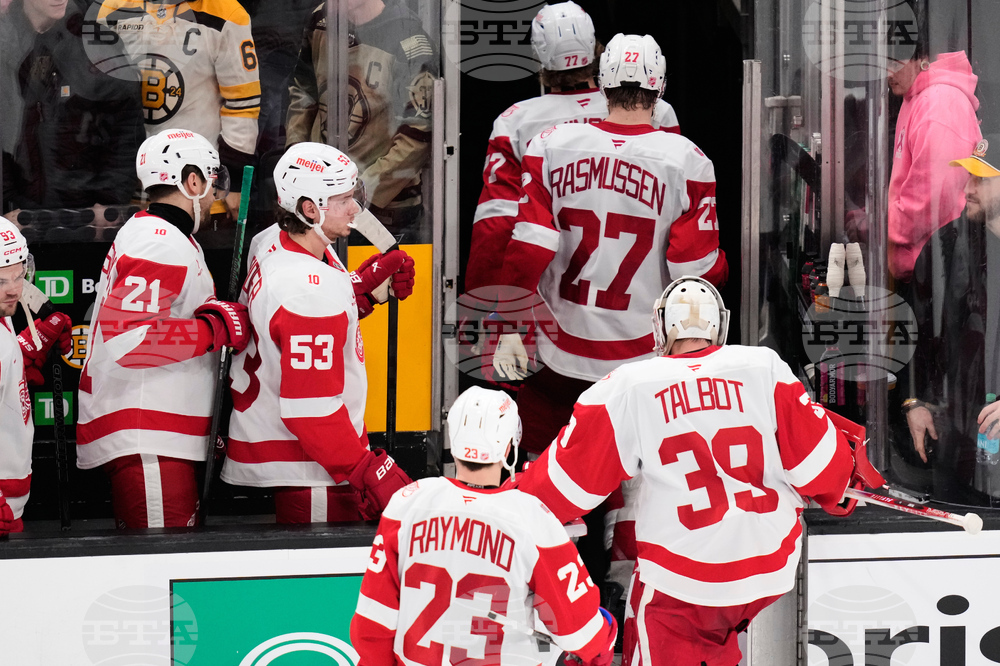 Red Wings Bruins Hockey