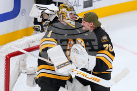 Red Wings Bruins Hockey