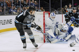 Maple Leafs Mammoth Hockey