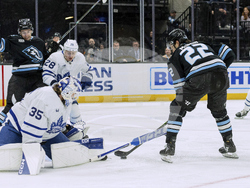Maple Leafs Mammoth Hockey