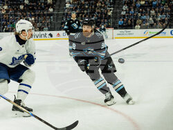 Maple Leafs Mammoth Hockey