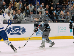 Maple Leaf Mammoth Hockey