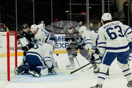 Maple Leafs Mammoth Hockey