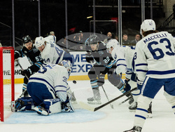 Maple Leafs Mammoth Hockey