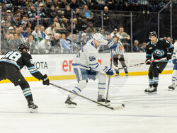 Maple Leafs Mammoth Hockey