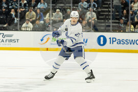 Maple Leafs Mammoth Hockey