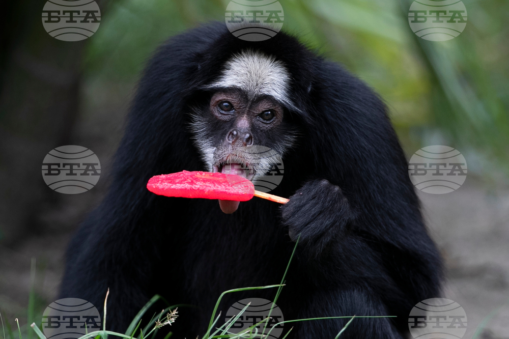 APTOPIX Brazil Zoo Weather