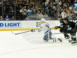 Maple Leafs Mammoth Hockey