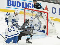 Maple Leafs Mammoth Hockey