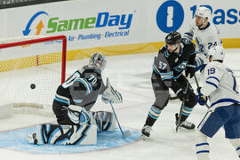 Maple Leafs Mammoth Hockey