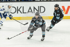 Maple Leafs Mammoth Hockey