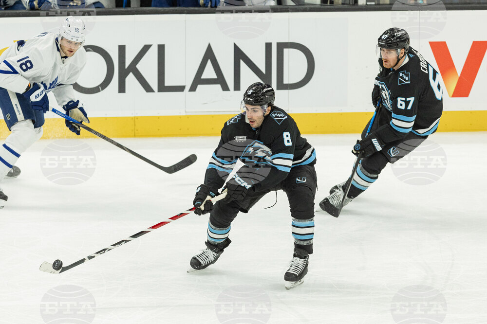 Maple Leafs Mammoth Hockey