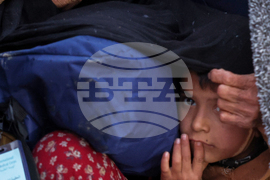 Top Vertical Photos Photo Gallery