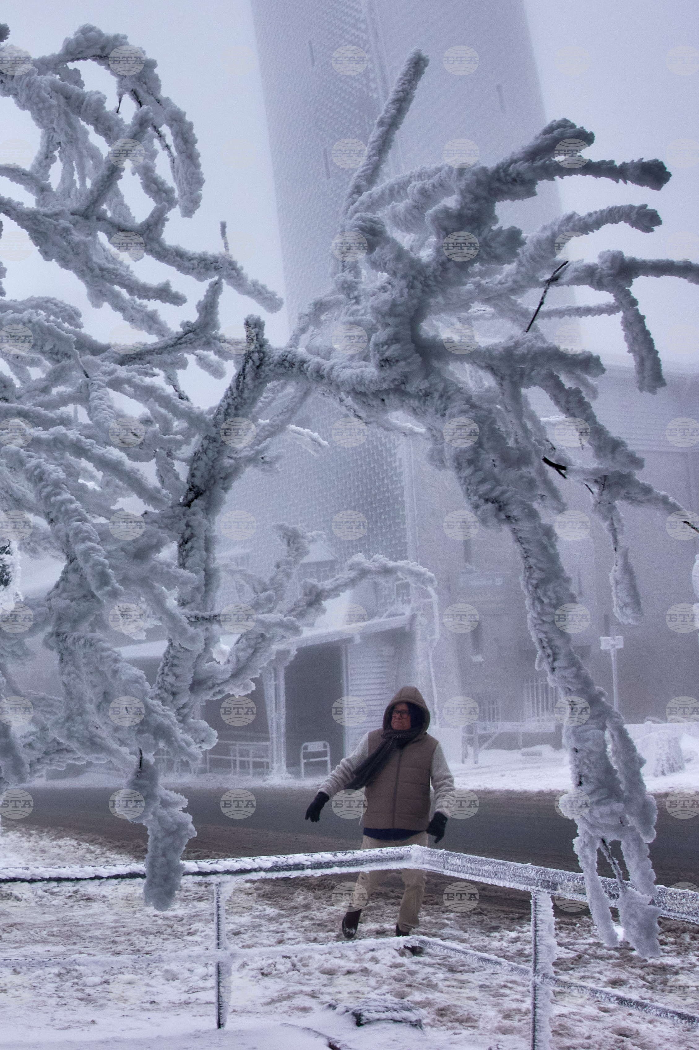 Top Vertical Photos Photo Gallery