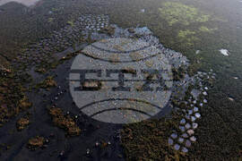 APTOPIX India Community Fishing