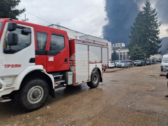 Общо 61 пожара са потушени през изминалото денонощие в страната, двама са пострадали 