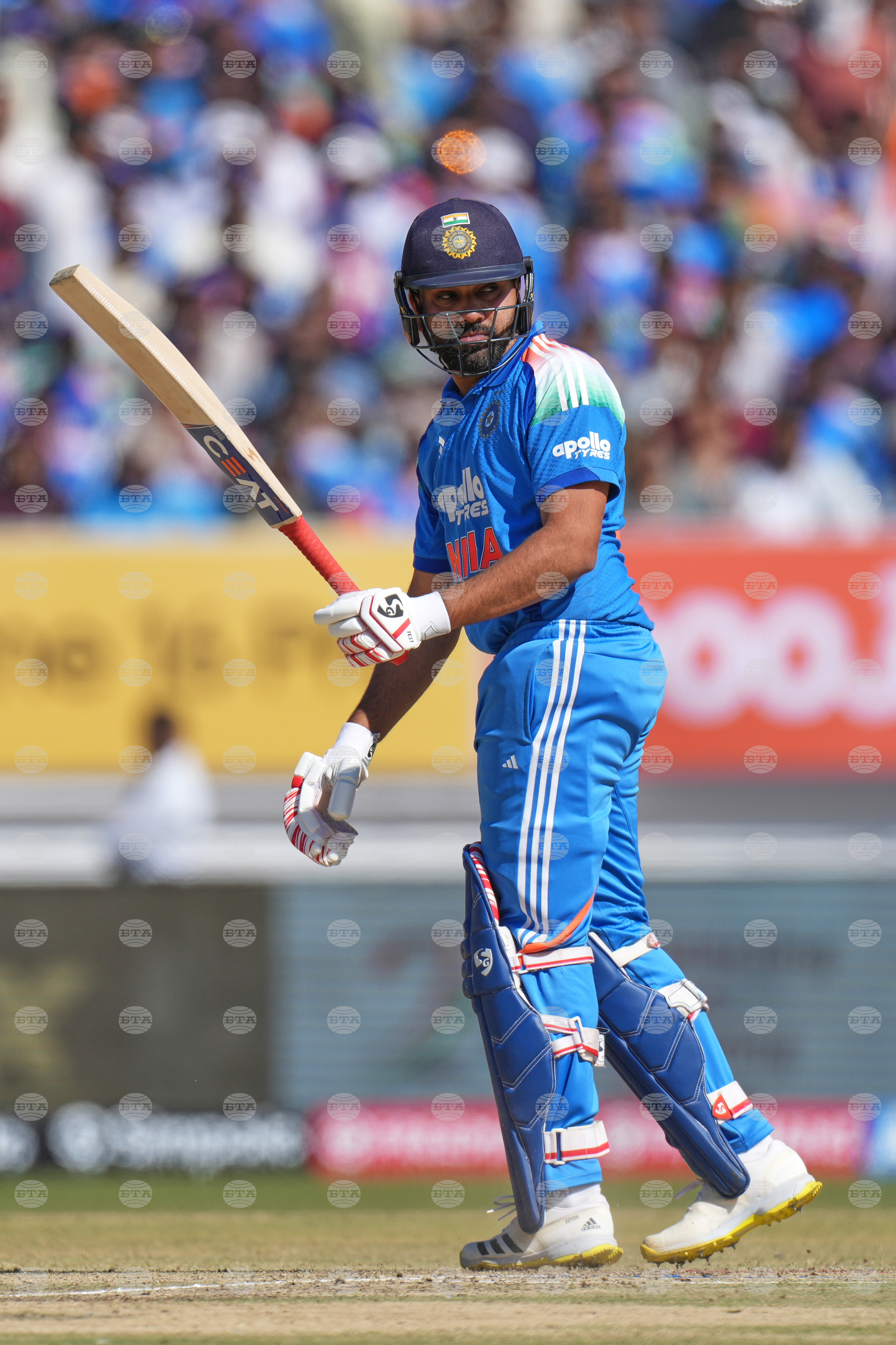 India New Zealand Cricket