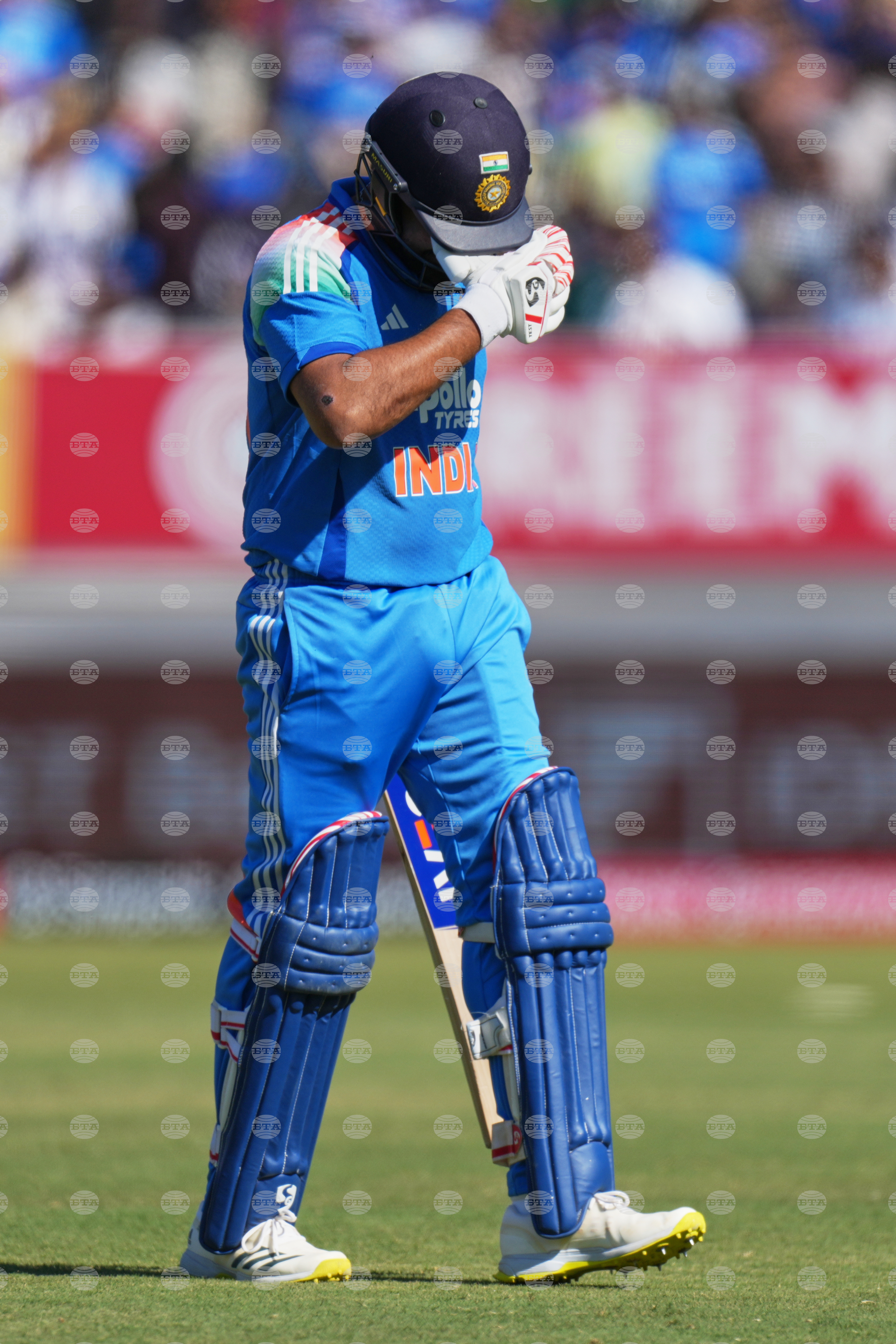 India New Zealand Cricket