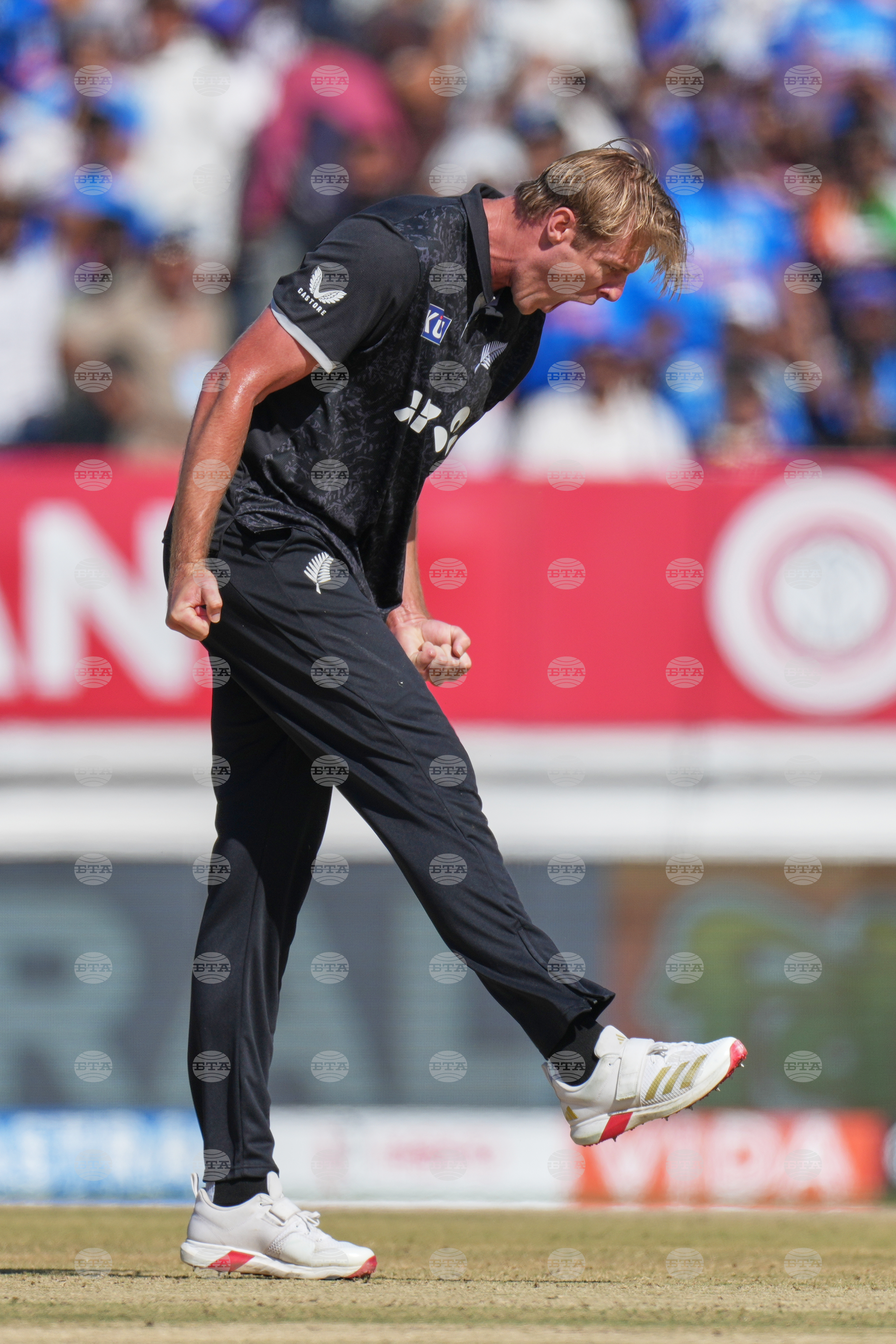 India New Zealand Cricket